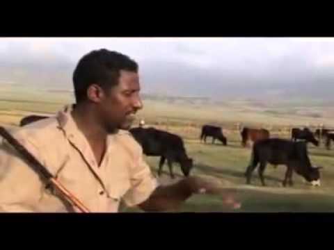 ETHIOPIA TIGRIGNA MUSIC 2011 4