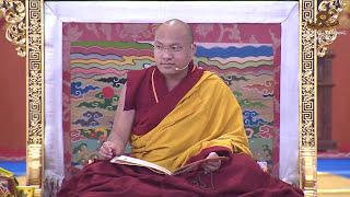Gyalwang Karmapa's Teachings on The Torch of True