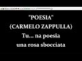 Carmelo Zappulla Poesia Karaoke Devocalizzata