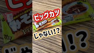 【駄菓子】ビッグカツじゃない！？みそカツとやらを食べてみた！#駄菓子 #ビッグカツ #味噌カツ #名古屋 #おかし
