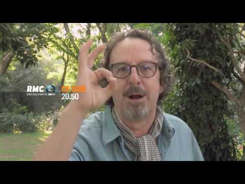 Gem Hunters: On the Heights of Kilimanjaro