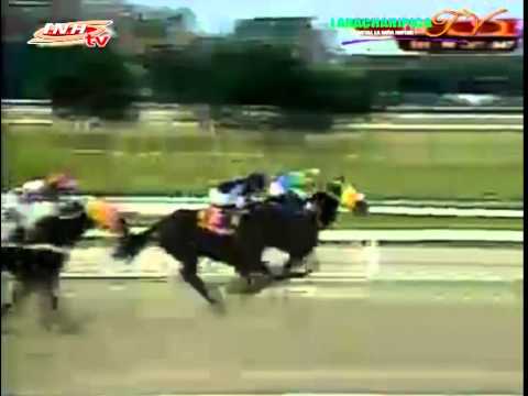 LA RINCONADA 7 CARRERA DOMINGO 16 DE NOVIEMBRE DEL 2014