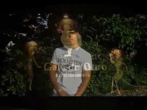 Mc Wk - Noite no puteiro (Oficial)