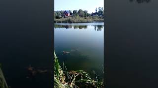 Рыбалка в смоленской области вязьма