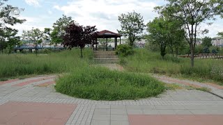 Буйна растителност край алеите в парк „Арпезос-Север“ буди недоволство
