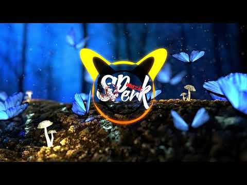 QWEENZY X MYZOUK Ft A CARA - GROWING PAINS - RMX VIB'S