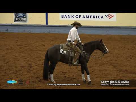 OPUS CAT OLENA RHB shown by MATT KOCH   2020 AQHA World Show Sr  Working Cow Horse, Prelims