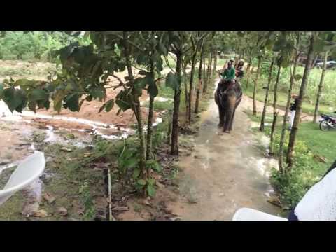 Trekking em elefante Kinnaree -Phuket, Tailândia