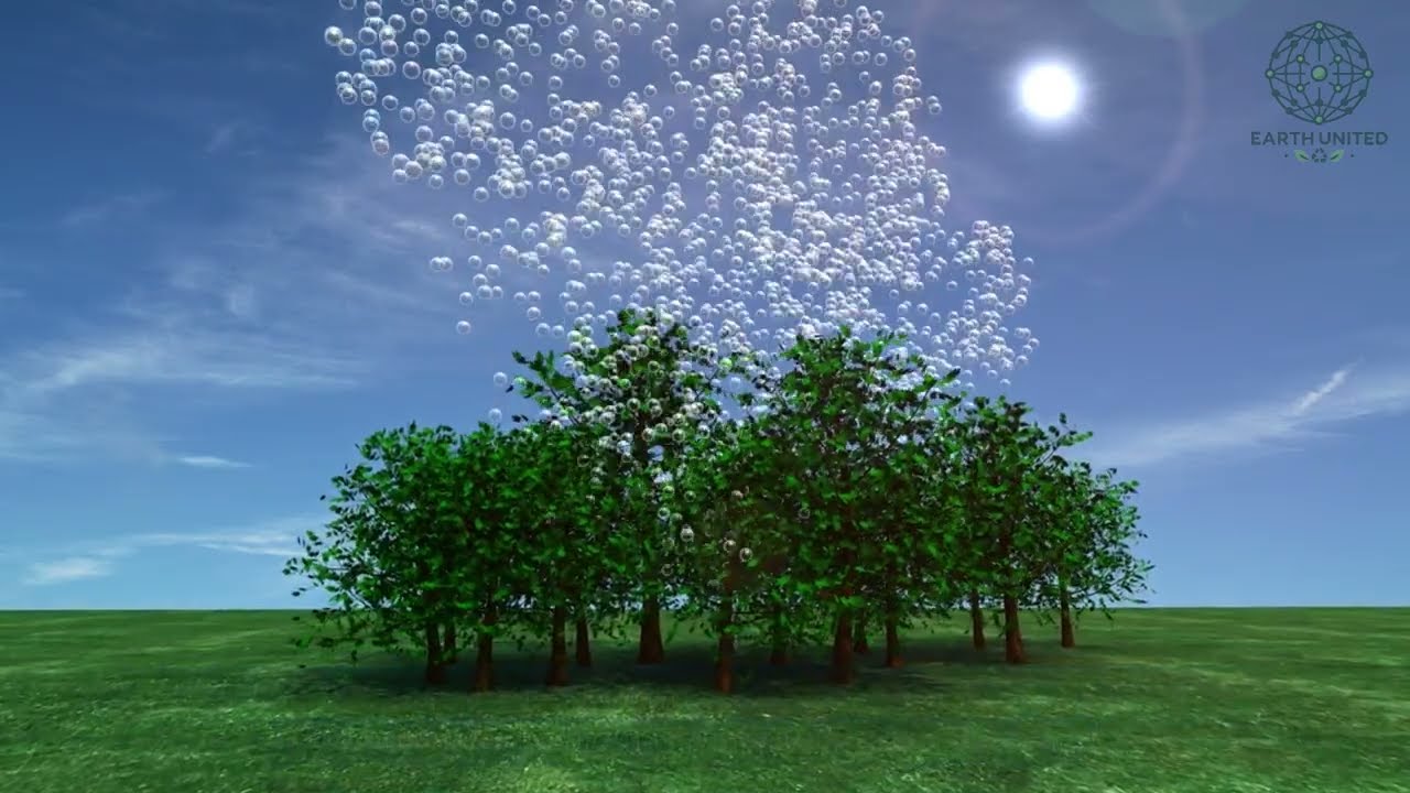 The Role of Permaculture in Mitigating Climate Change