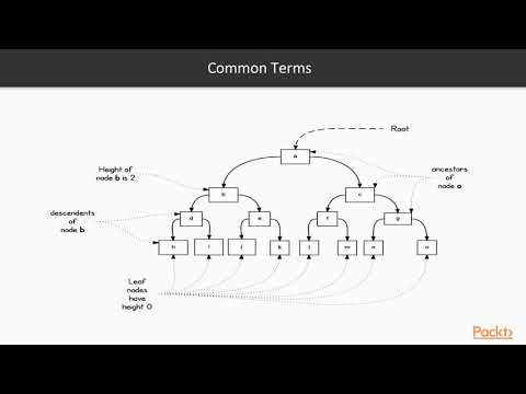 Advanced Functional Data Structures and Algorithms Concept of Red Black Trees | packtpub com
