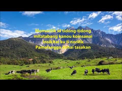 Lagu Dusun: Tinggur  Bulawan  By Sakril Sidik