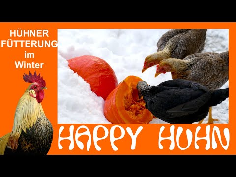 E57 Hühnerfütterung im Winter - HAPPY HUHN - Hühner abwechslungsreich füttern, Futter Tipps, Gemüse