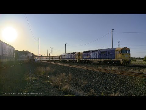 Pacific National Grain Train At Gheringhap - PoathTV Australian Railways