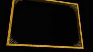 THE FEMALE HONEY BEE
 
Your Lord revealed to the bees: "Build dwellings in the mountains and the trees, and also in t...