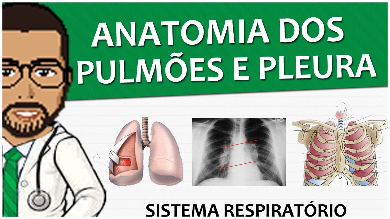 Sistema Respiratório 13 - Anatomia dos Pulmões e Pleura (vídeo-aula)