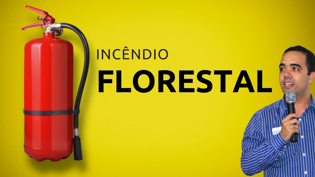 Incêndio Florestal: o que o Bombeiro Civil deve saber sobre Incêndio Florestal