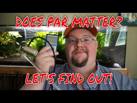 Is PAR Really That Important or Just Hype?!  PAR Testing Aquarium Lights in Planted Tanks