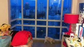 Luxury Apartment Rent Sale Metro Plaza Santurce Condado Puerto Rico