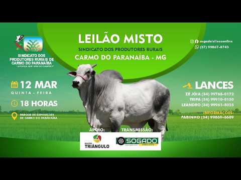 LEILÃO MISTO - SINDICATO DOS PRODUTORES RURAIS DE CARMO DO PARANAÍBA/MG - 12/03/2026