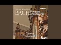 Concerto (Fantasia) in G Major, BWV 571: II. Adagio