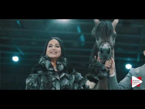 Paris WAHC 2016 - Impressions of Friday