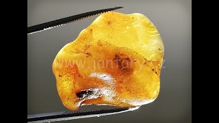 Okno do baltského jantaru PO-27