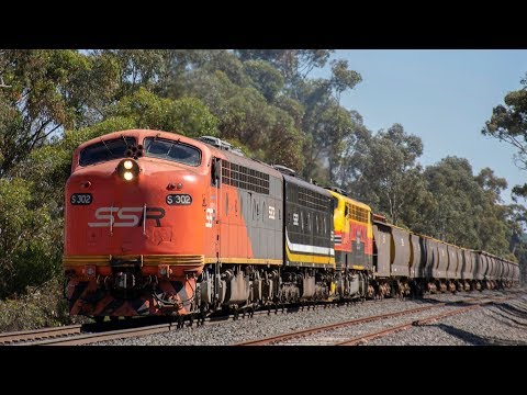 3 Bulldog's lead an Australian Grain Train(SSR's 9092 ex Deniliquin) | S302, S312, B75