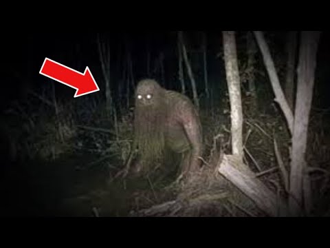 10 Spine-Chilling Videos You Should Avoid at Night