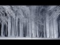 Winter Wind With Snow Fall Sound Effects Copyright Free Nature Sounds