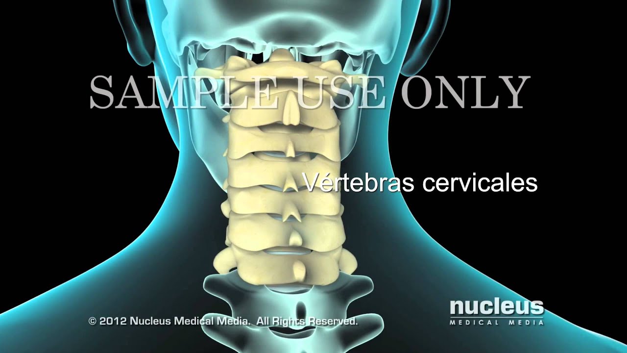 Marco Antonio Altamirano Cruz-22