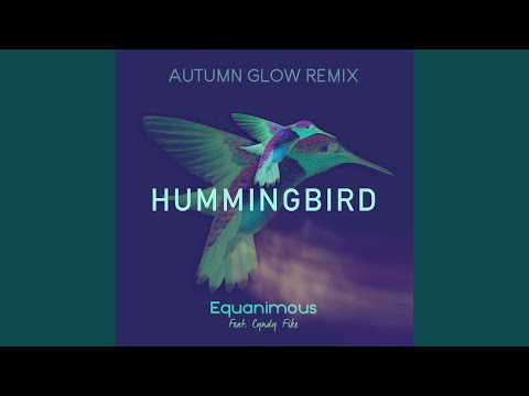 Hummingbird (feat. Cyndy Fike)