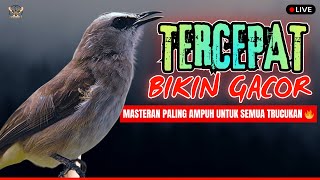 Download lagu SUARA JERNIH‼️TRUCUKAN GACOR ROPEL PANJANG MASTERAN-PANCINGAN AMPUH TRUCUKAN BAHAN PASTI NYAUT ROPEL mp3 Download lagu SUARA JERNIH‼️TRUCUKAN GACOR ROPEL PANJANG MASTERAN-PANCINGAN AMPUH TRUCUKAN BAHAN PASTI NYAUT ROPEL mp3