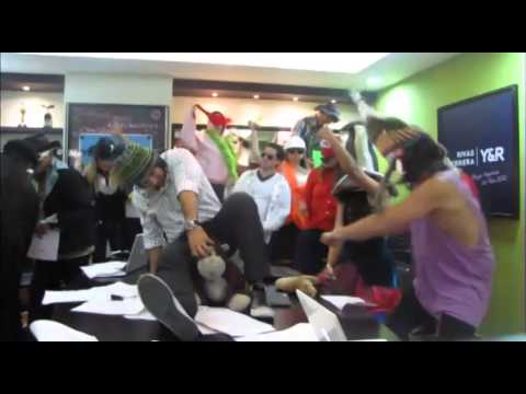 Harlem Shake Y&R Ecuador  (chihuahua dancing)