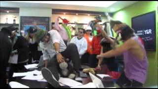 Harlem Shake Y&R Ecuador  (chihuahua dancing)