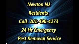 preview picture of video '24 Hr Emergency Pest Control Newton NJ Call 973-419-6001'