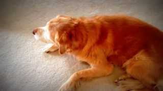 One More Day - Diamond Rio - song for important stuff