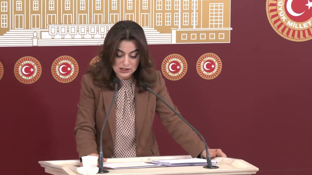 DEM Parti Grup Başkanvekili Gülistan Kılıç Koçyiğit’ten “Barış Yasası” Çağrısı