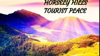 preview picture of video 'Andhra Ooty Horsely Hills _TOURIST PLACE_HILL VIEW _/kosuri /Devi / trip to HORSELY hills'
