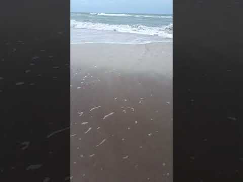 Ver9369, Villa Gesell, espuma de mar, Buenos Aires 2026 Argentina