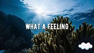 Alex Gaudino Feat. Kelly Rowland - What A Feeling (Lyrics)