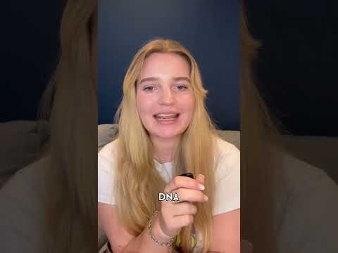 Could Idaho murders suspect Bryan Kohberger be set free?