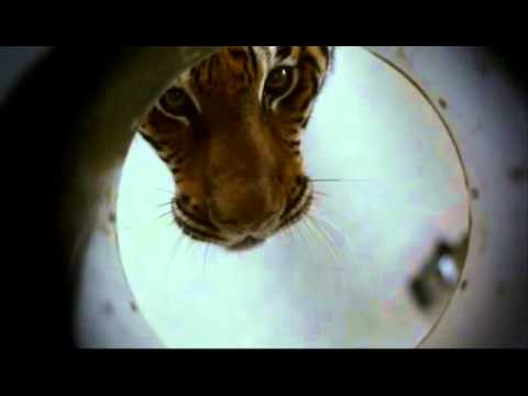 Burning Bright: Laundry Chute