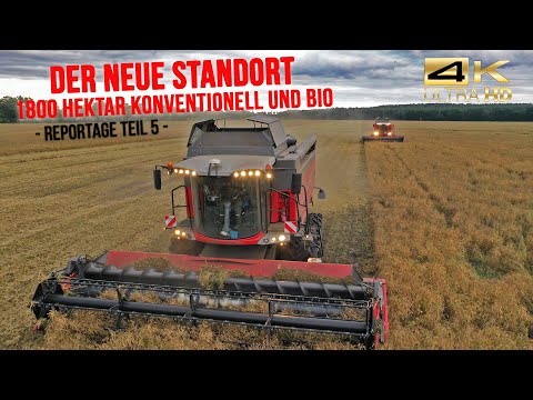 Ruhe Agrar Teil 5: Der neue Standort Picher - Mähdrusch & Bodenbearbeitung [Massey Ferguson Technik]