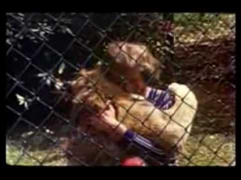 Christian the Lion - All  Lion Hugs!  in HQ Very Heartwarming!