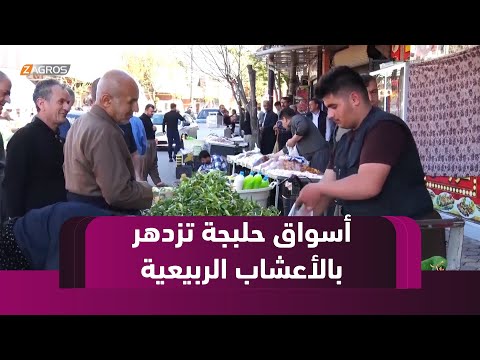 فيديو | حلبجة.. تزدهر الأسواق بالأعشاب والنباتات الربيعية