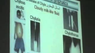 Dr Azza 15 14 12 2014   YouTube