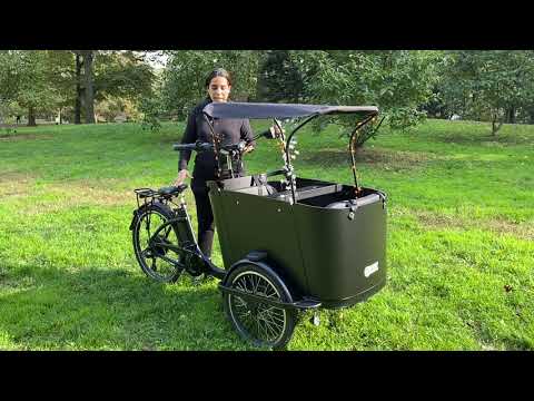 Ferla Family Cargo Bike Review - Ferla Family Royce Edition Bike 2021