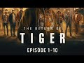 Return Of Tiger Episodes 1 10 Complete Story Hindi Poketfm Thereturnoftiger