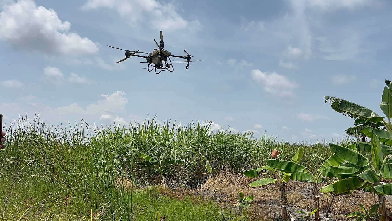 Harnessing drones and AI to combat malaria in Ghana