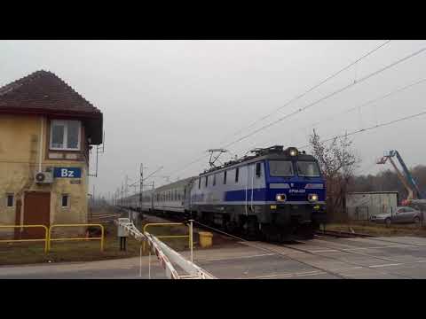 EP09-023 BRZOZA BYDGOSKA